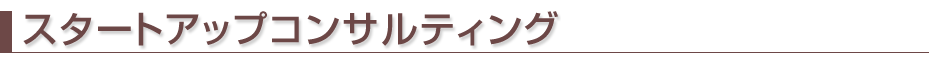 スタートアップコンサルティング スタートアップコンサルティング